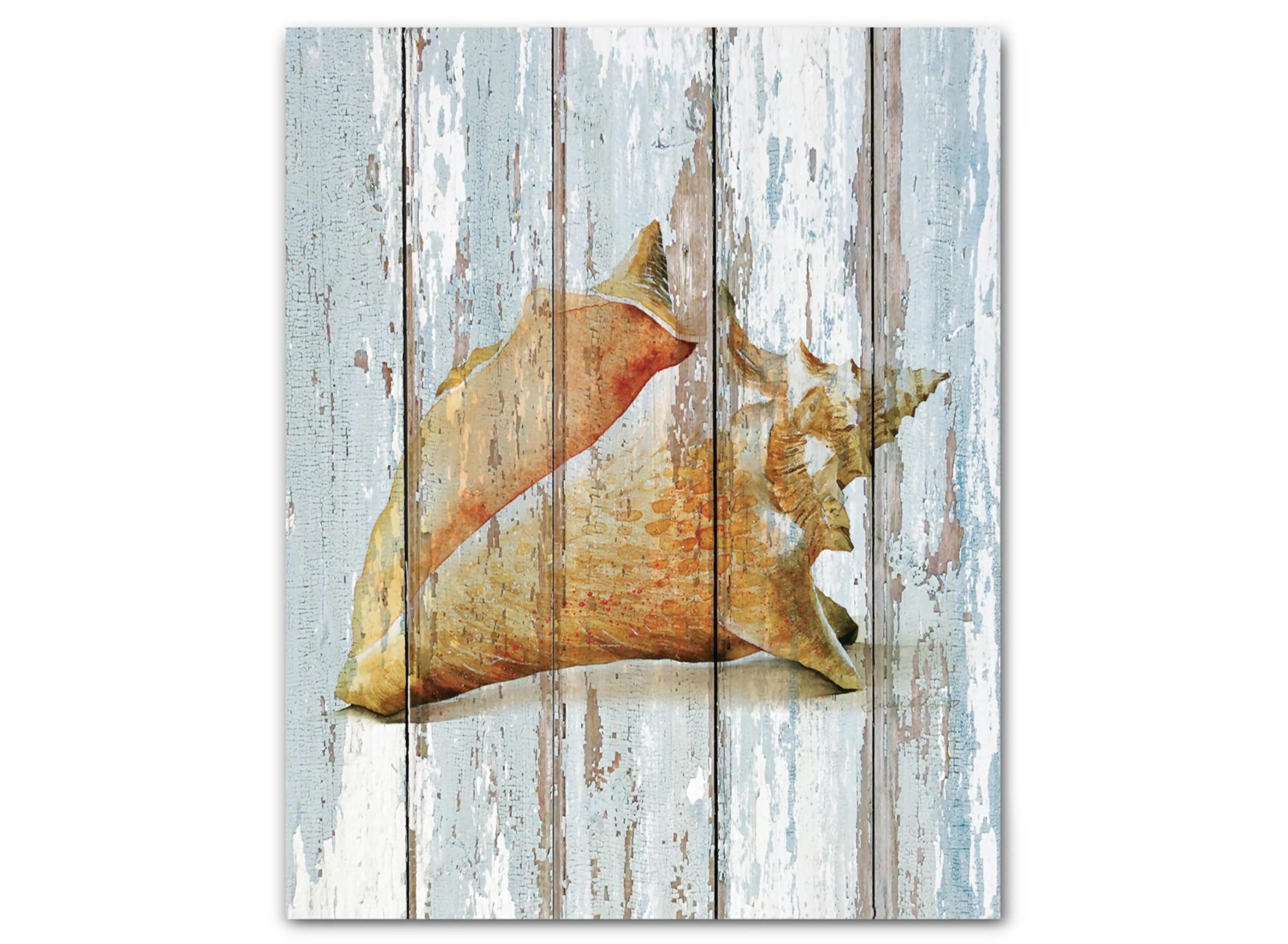 Seashell III Gallery Wrapped Canvas