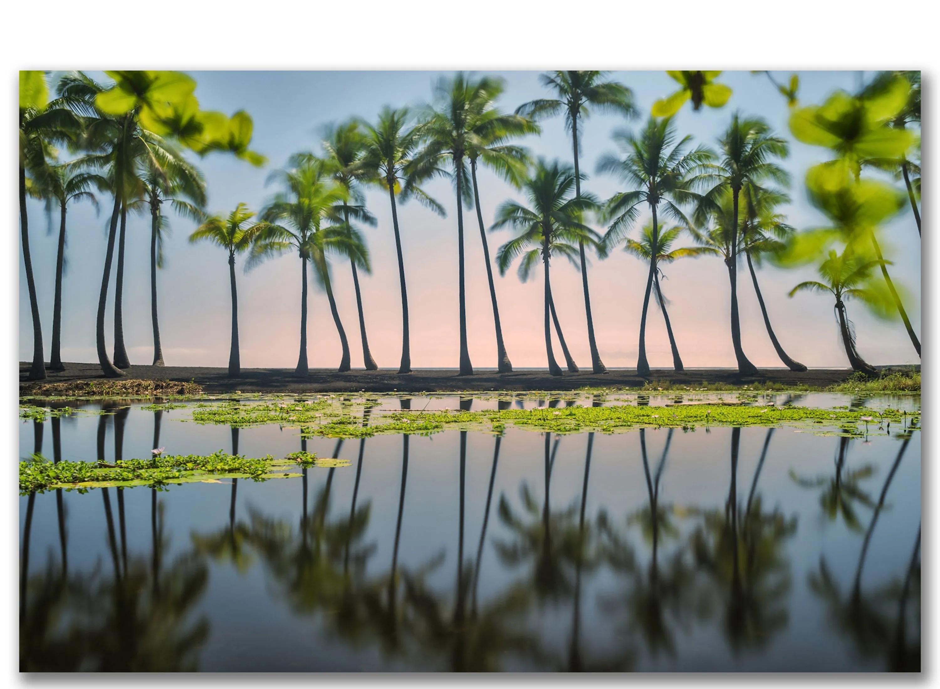 Palm Tree Reflections Gallery Wrapped Canvas
