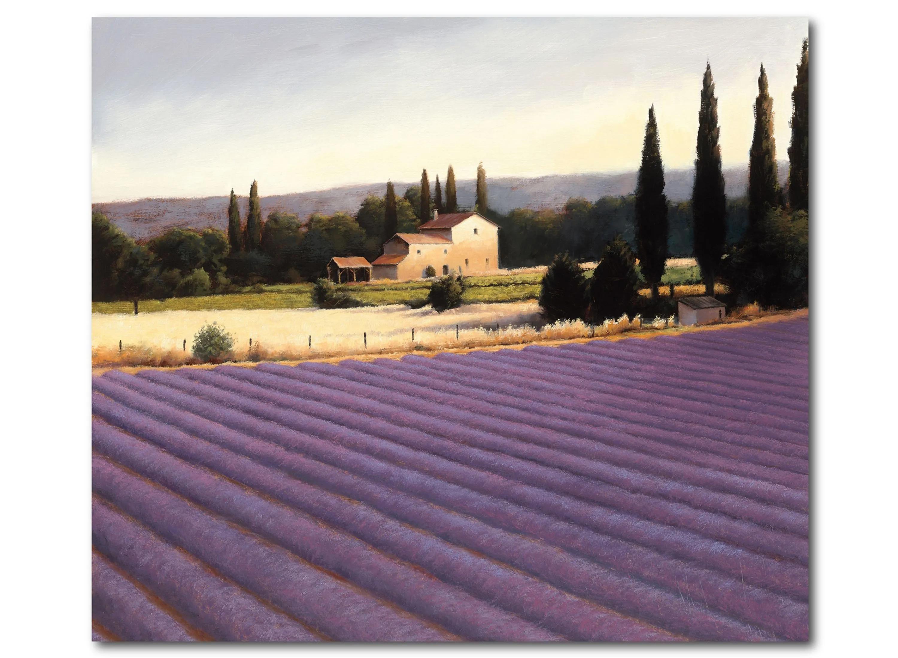 Lavender Fields II Gallery Wrapped Canvas