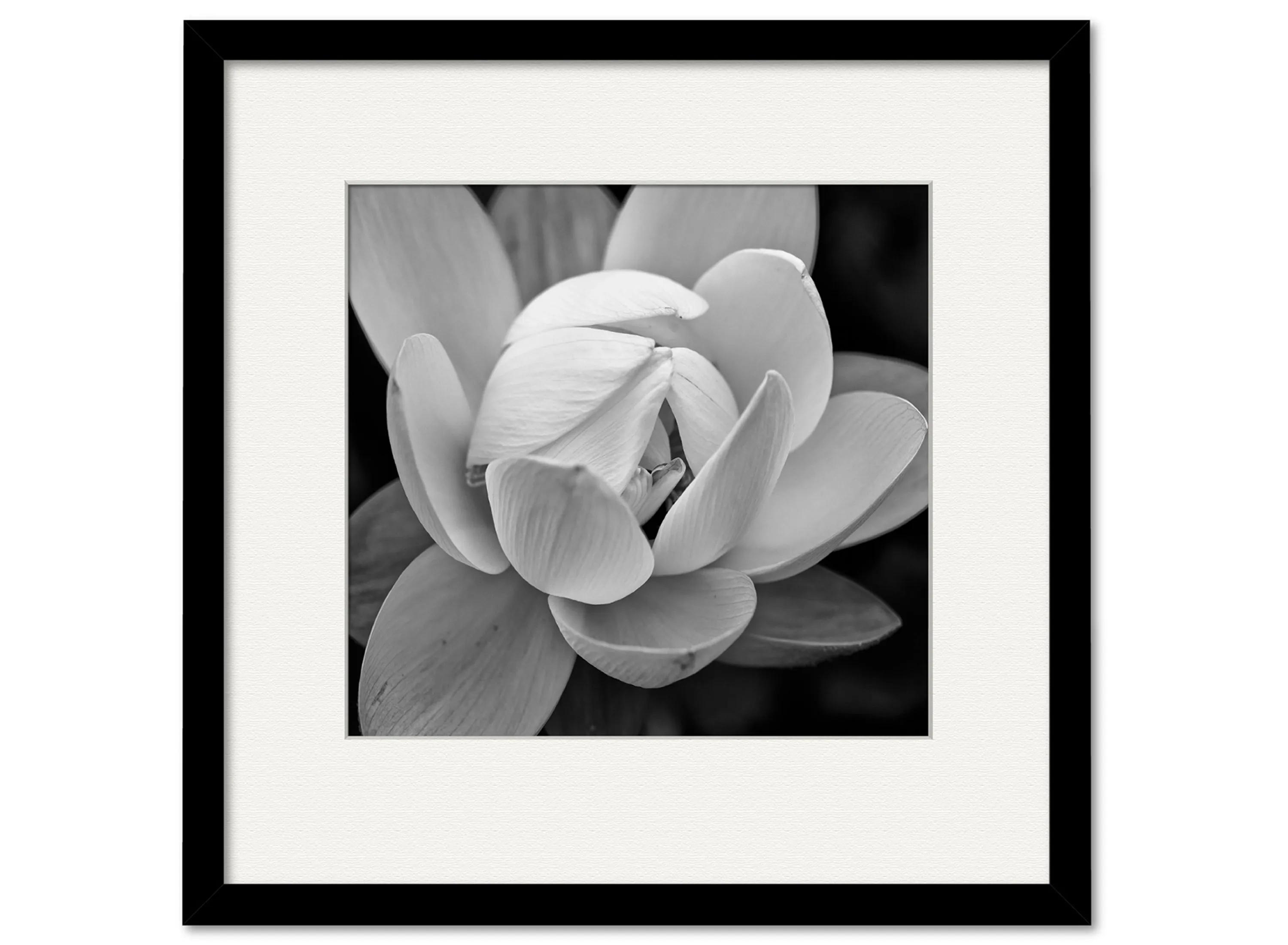 Black & White Gardia Framed Art