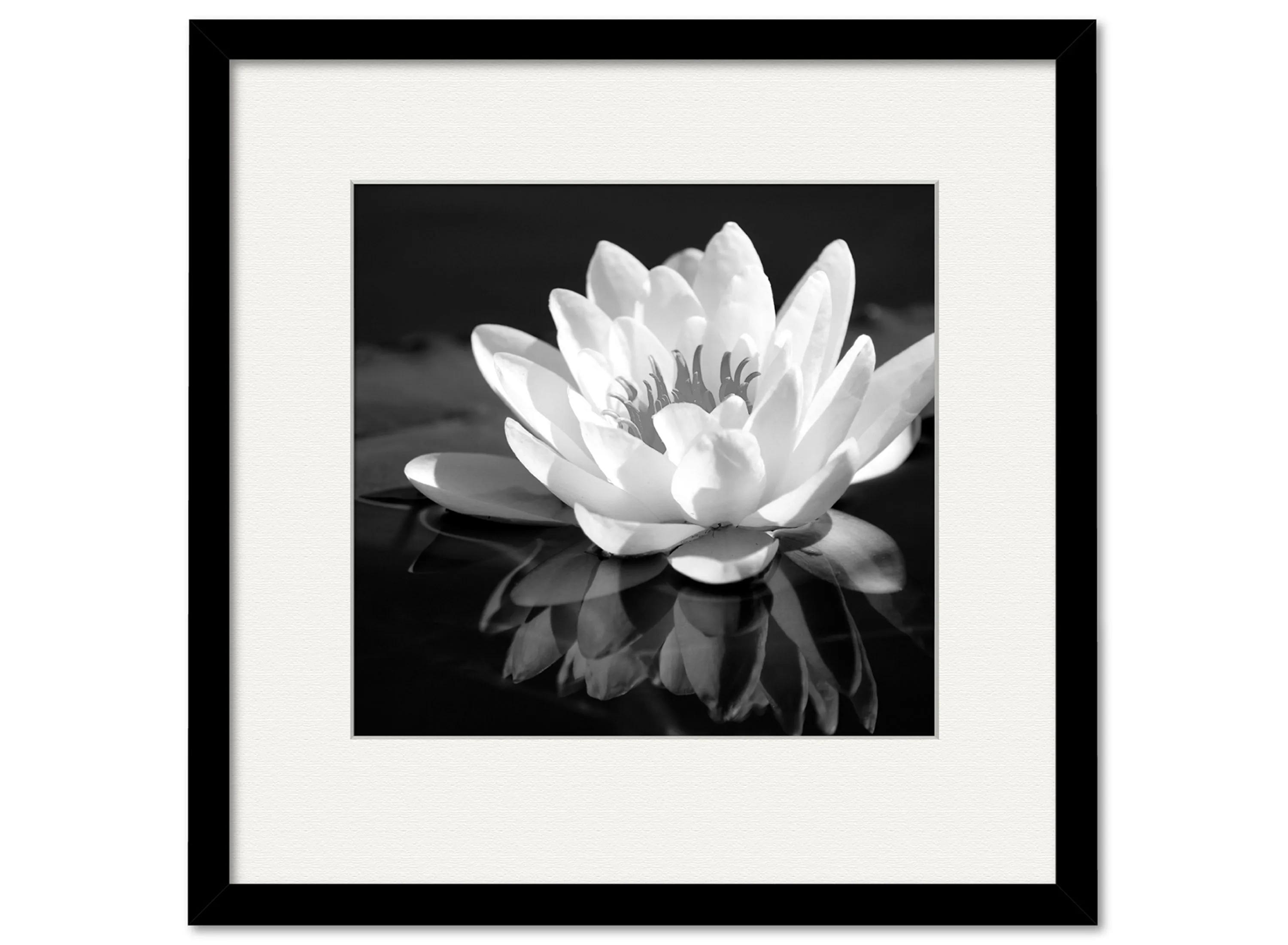 Waterlily Flower I Framed Art