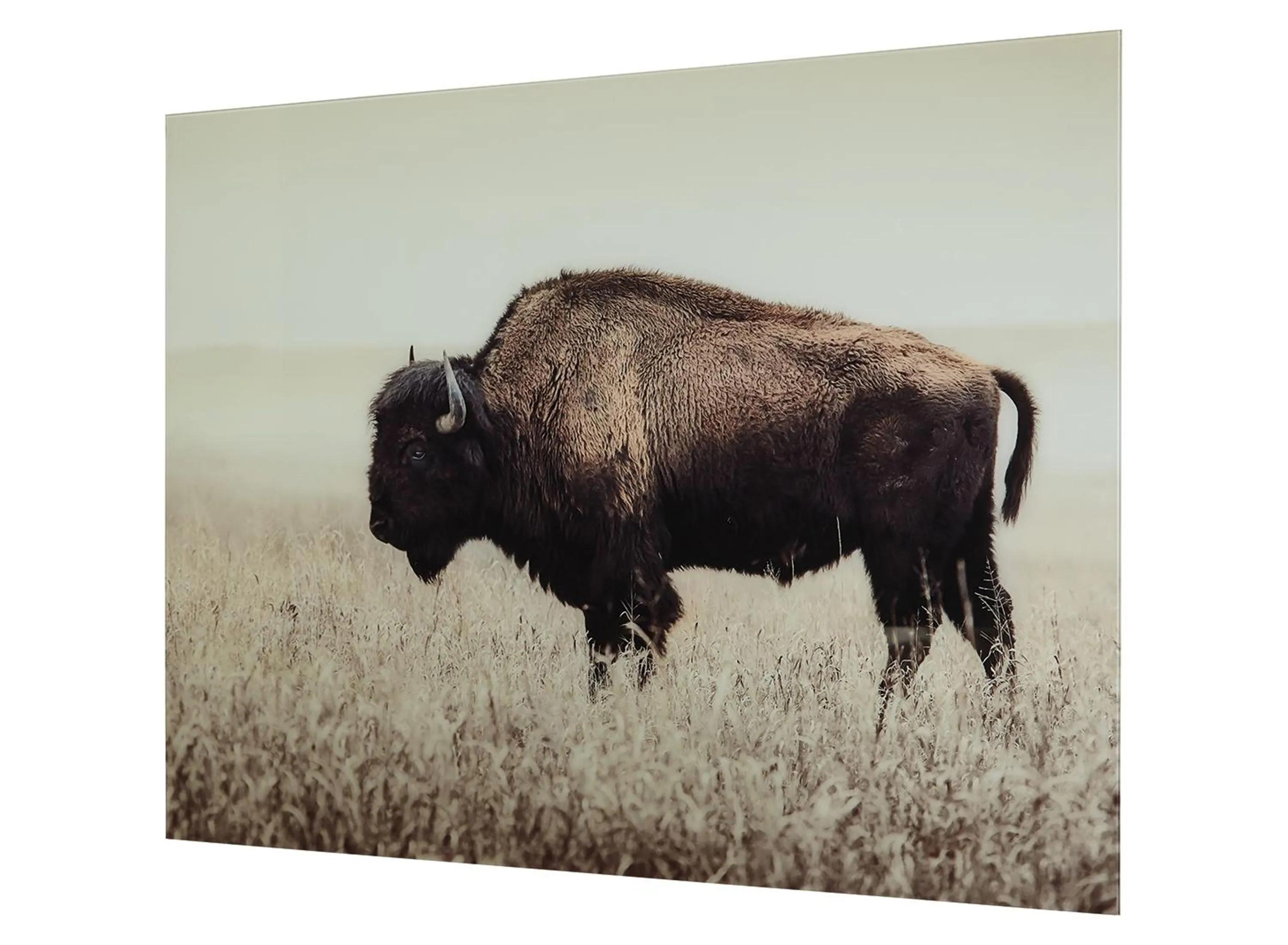 Brutus Modern Farmhouse Bison Wall Art on Glass