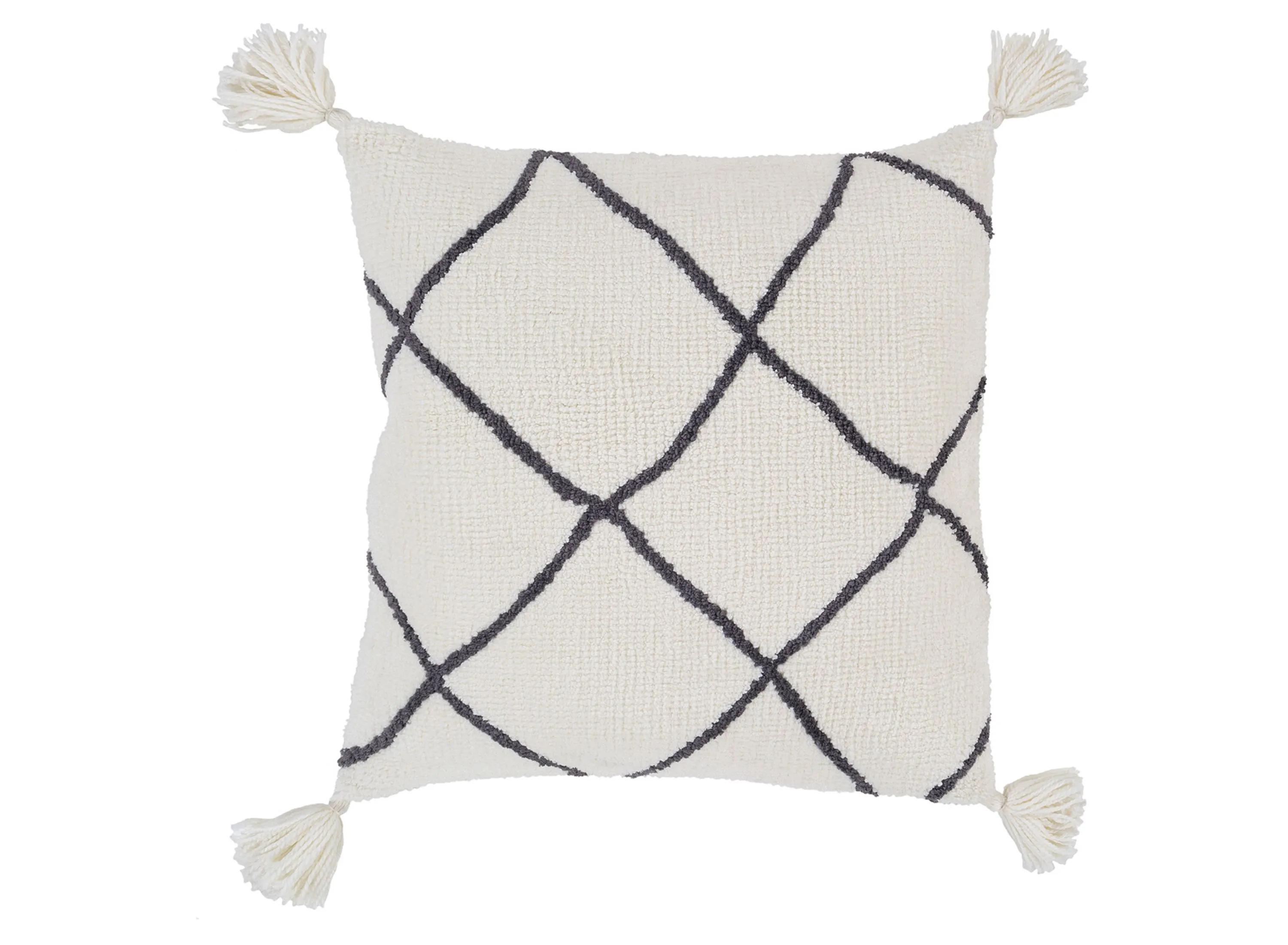 Braith 18 Down Filled Throw Pillow