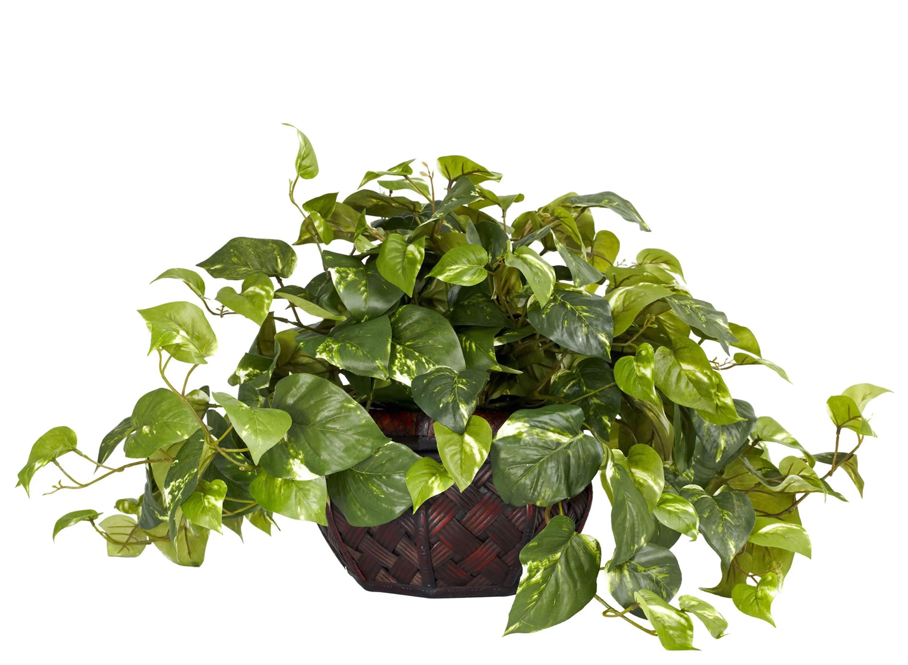 Pothos Artificial Plant