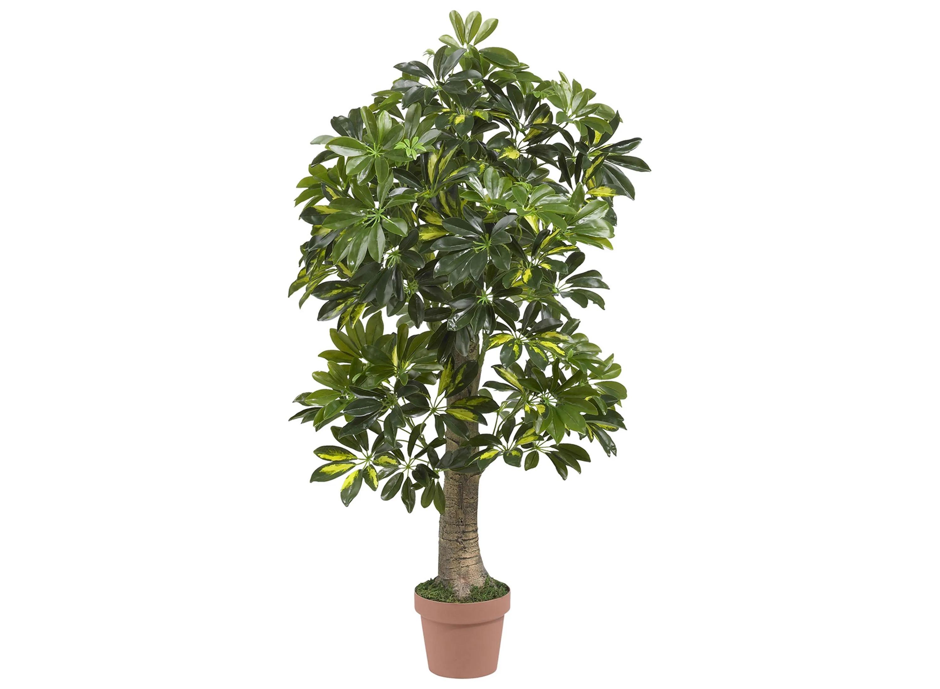Schefflera Artificial Tree