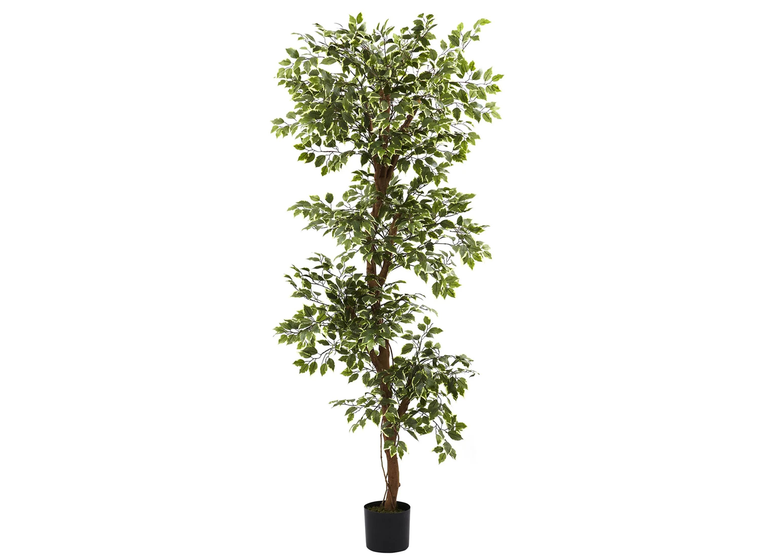 Variegated Ficus Artificial Tree