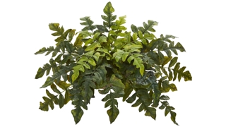 Holly Fern Artificial Ledge Plant