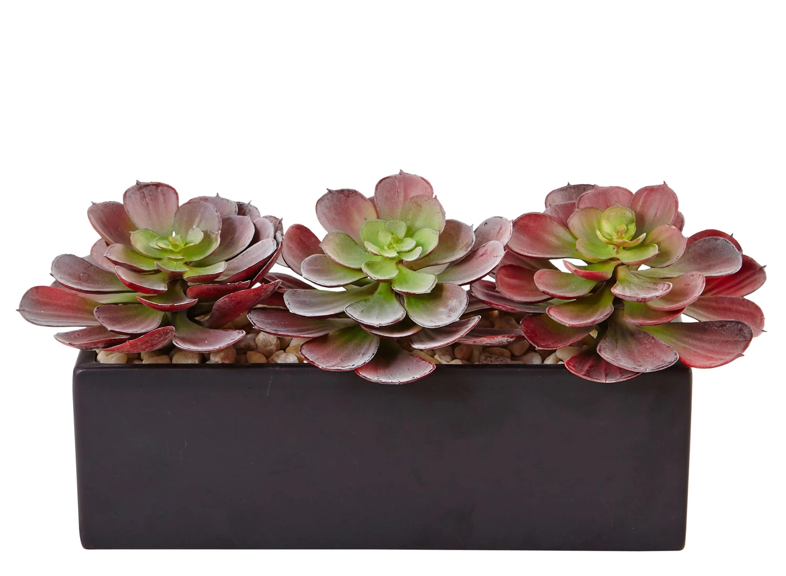 Mini Echeveria Artificial Succulent in Rectangular Planter