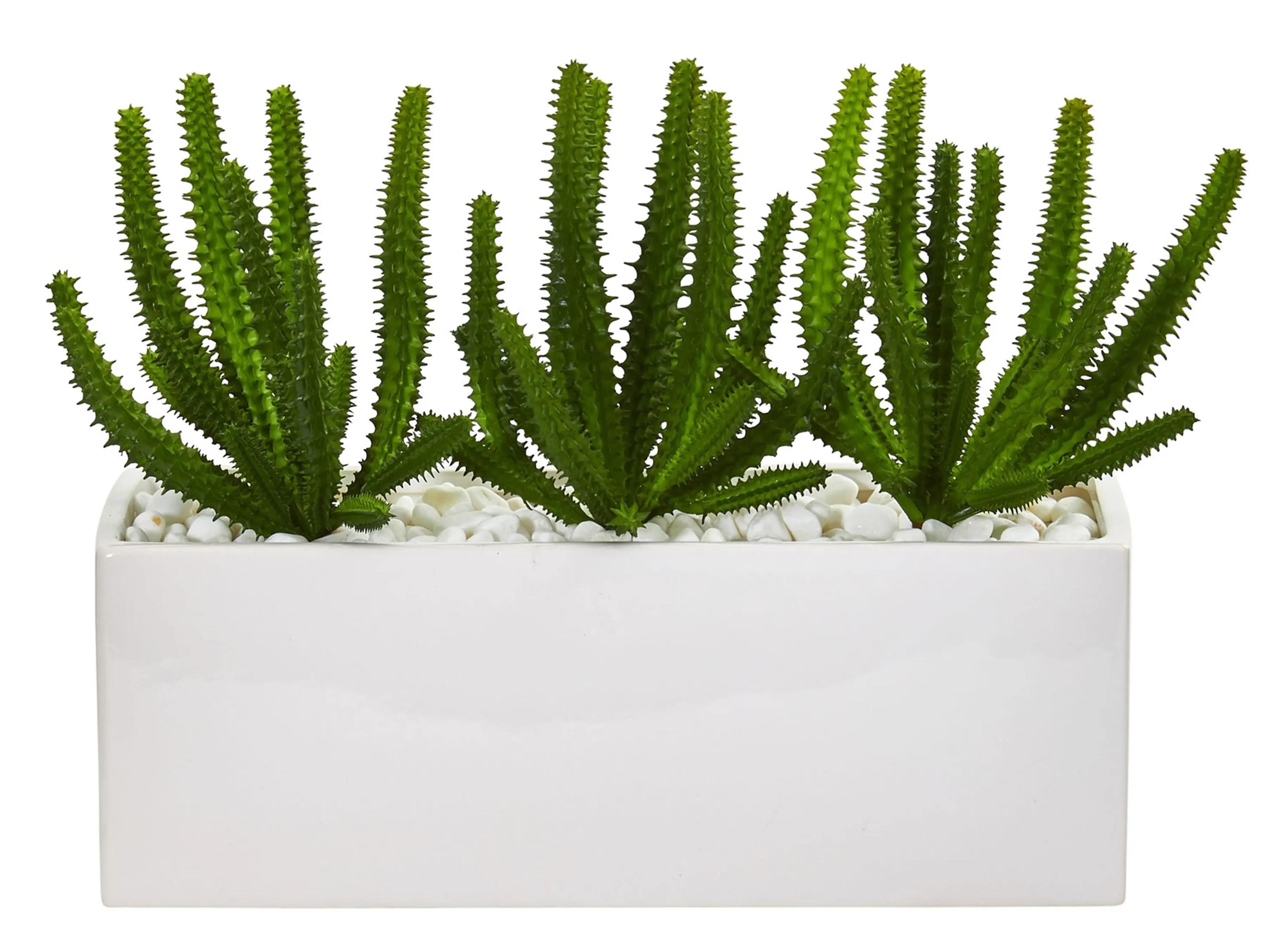 Finger Cactus Artificial Plant in White Vase
