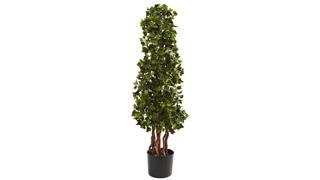 3.5ft. English Ivy Spiral (Indoor/Outdoor)