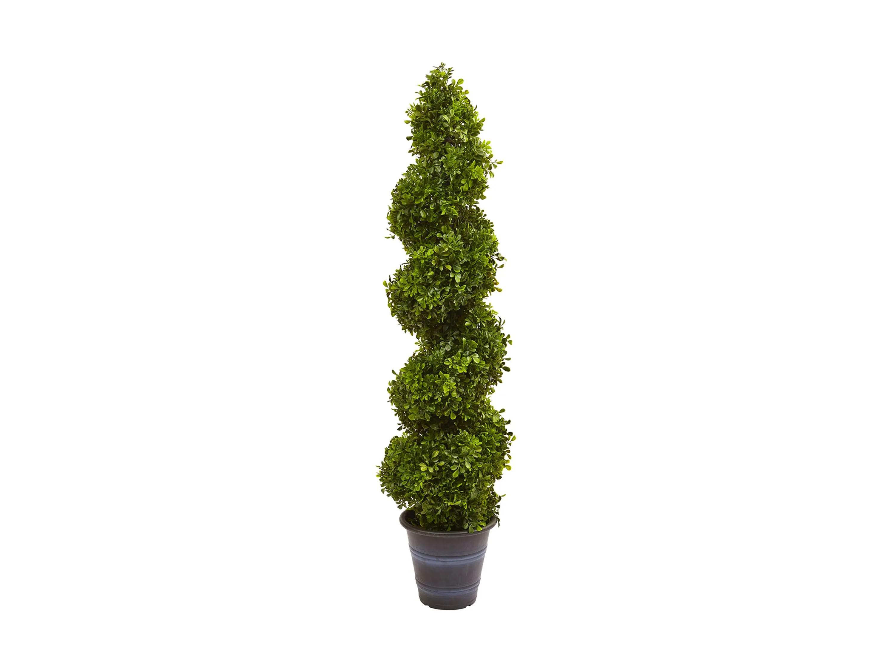 Boxwood Spiral Topiary with Planter (Indoor/Outdoor)