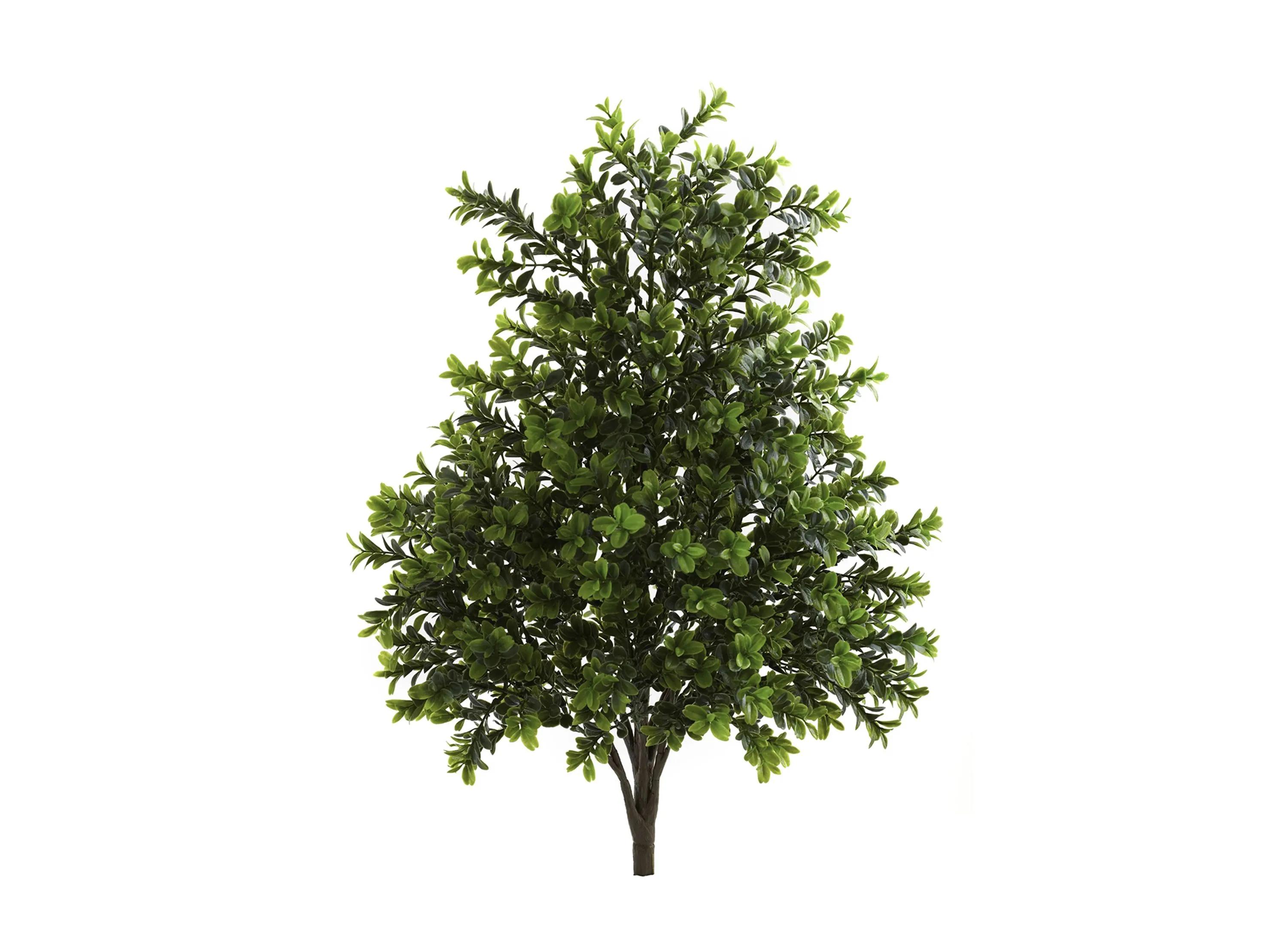 23in. Sweet Grass Bush (Set of 2) (Indoor/Outdoor)