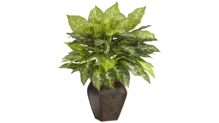 Dieffenbachia with Decorative Vase Silk Plant