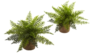 15in. Ruffle Fern Bush with Burlap Base (Set of 2)