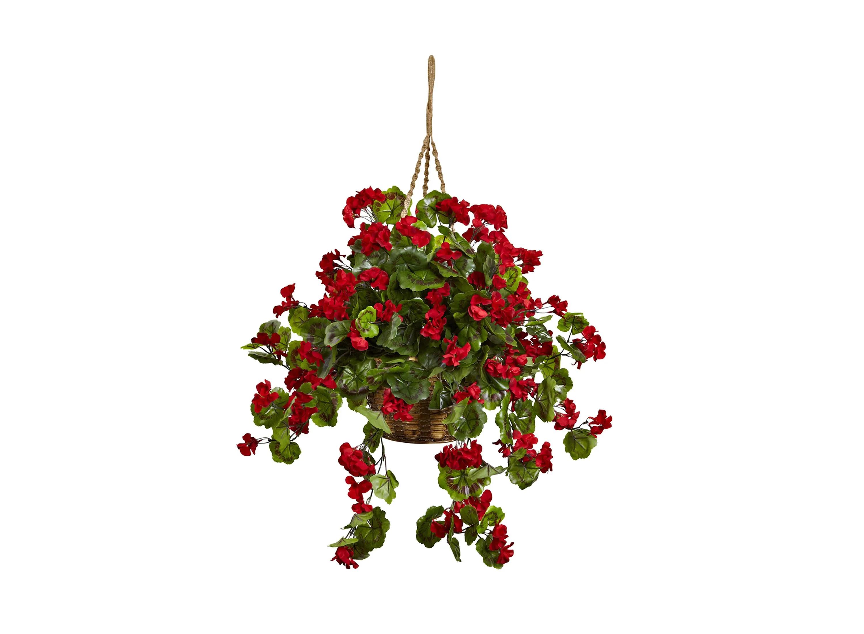 Geranium Hanging Basket (Indoor/Outdoor)