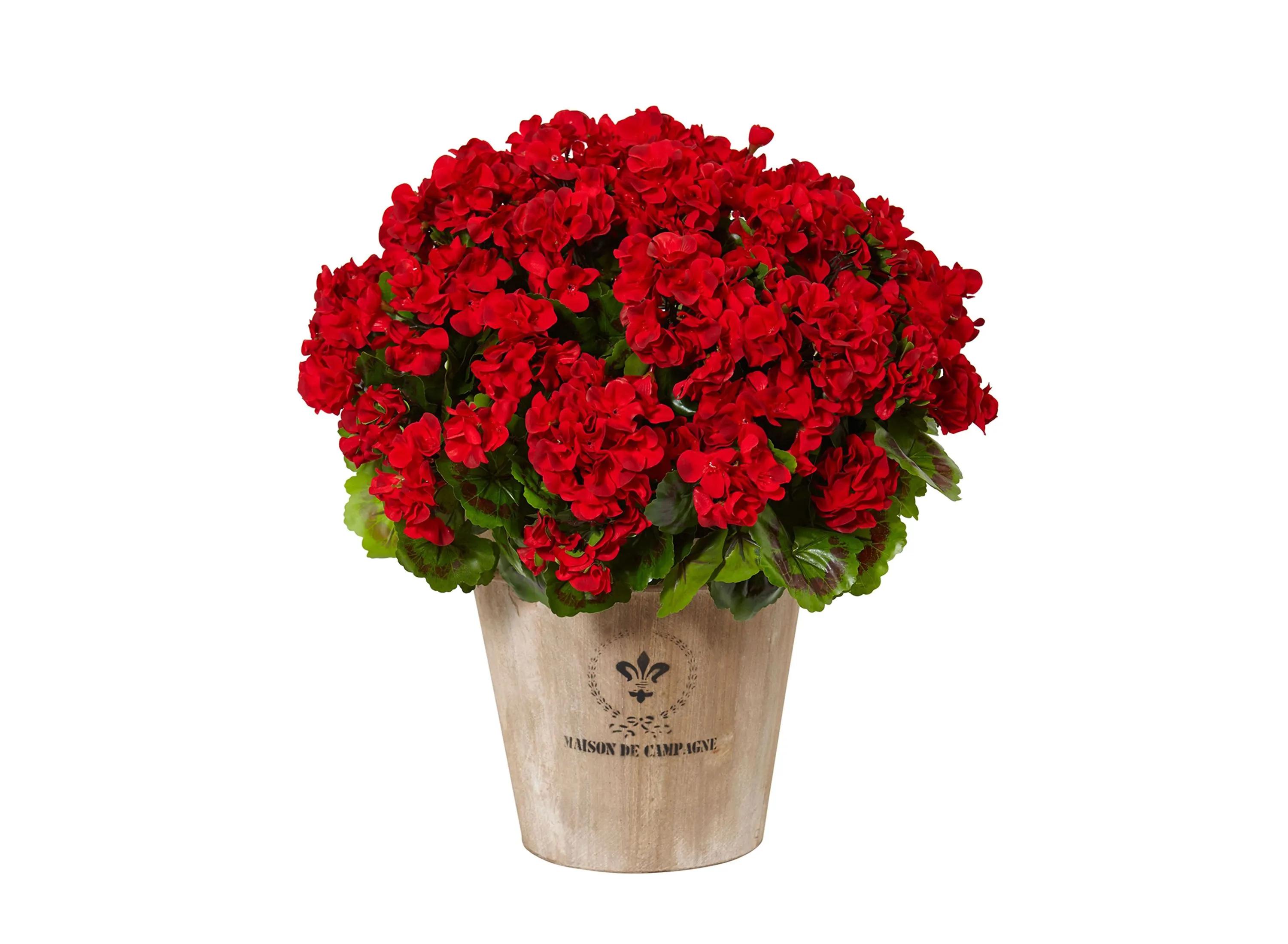 Geranium Silk Flowering Plant in Farmhouse Planter (Indoor/Outdoor)