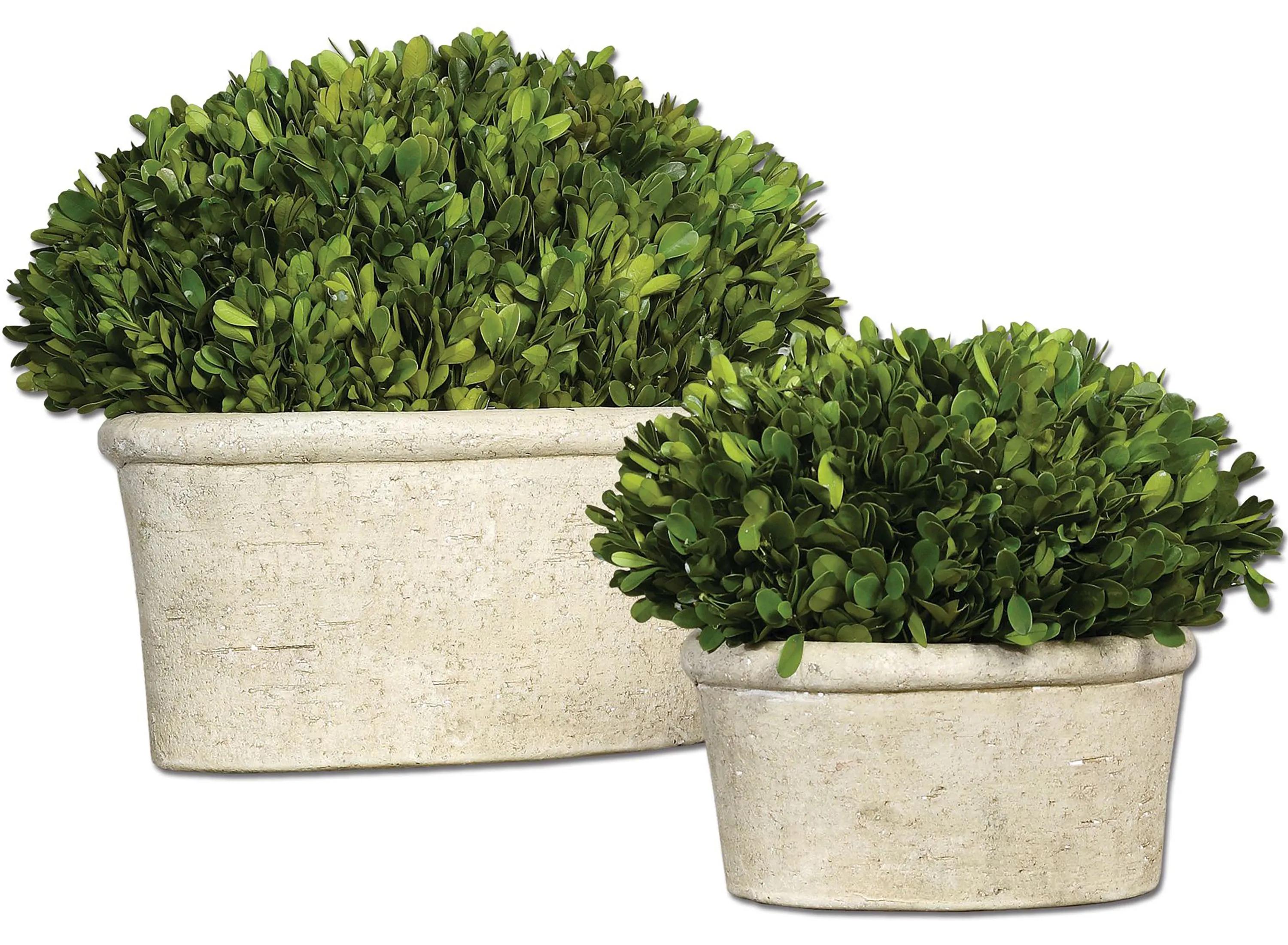 Oval Domes Boxwood: Set of 2