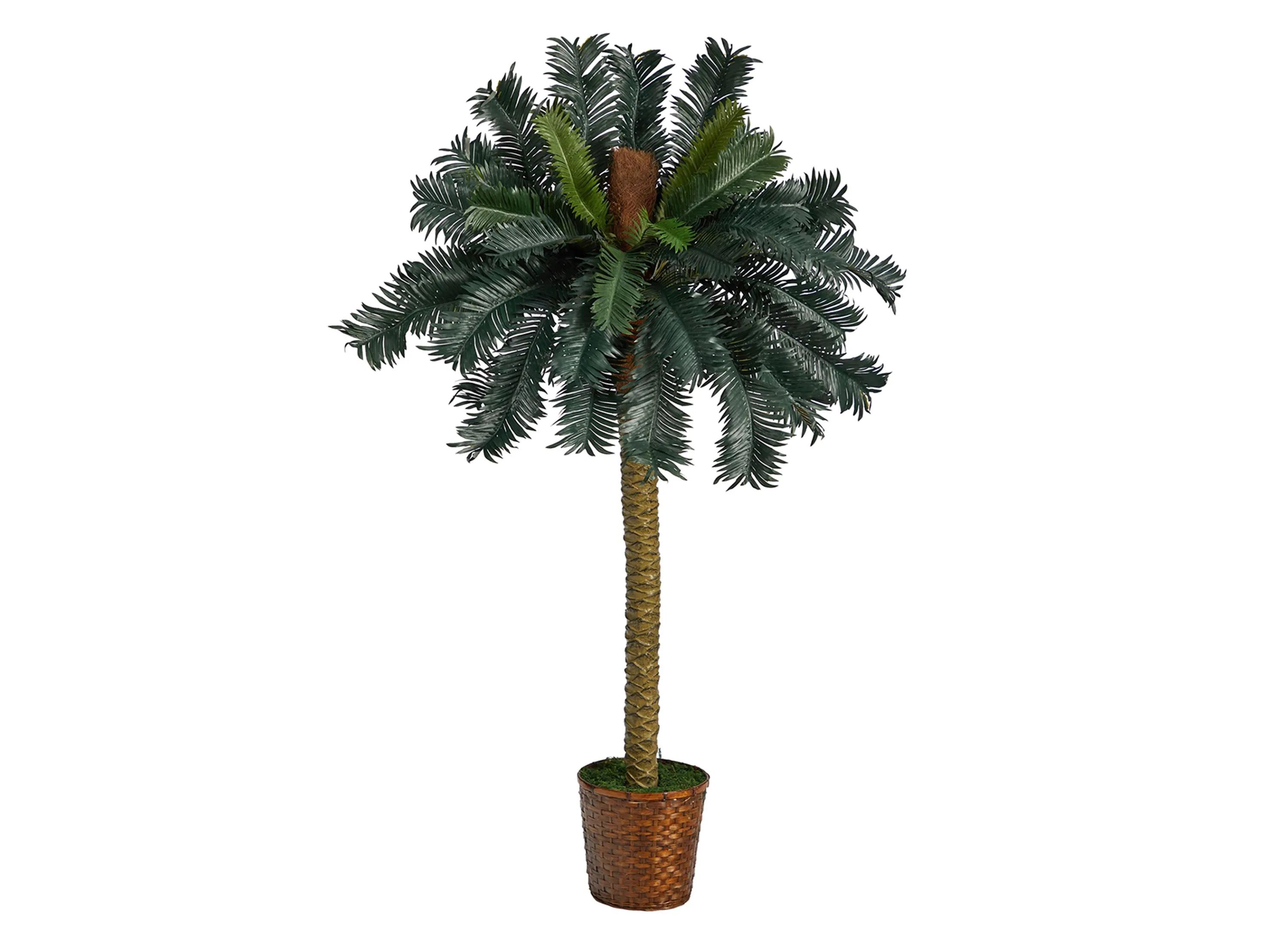 5ft. Sago Palm Artificial Tree in Basket