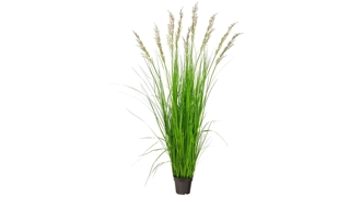 5.5ft. Plume Grass Artificial Plant