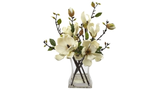Magnolia Arrangement with Vase