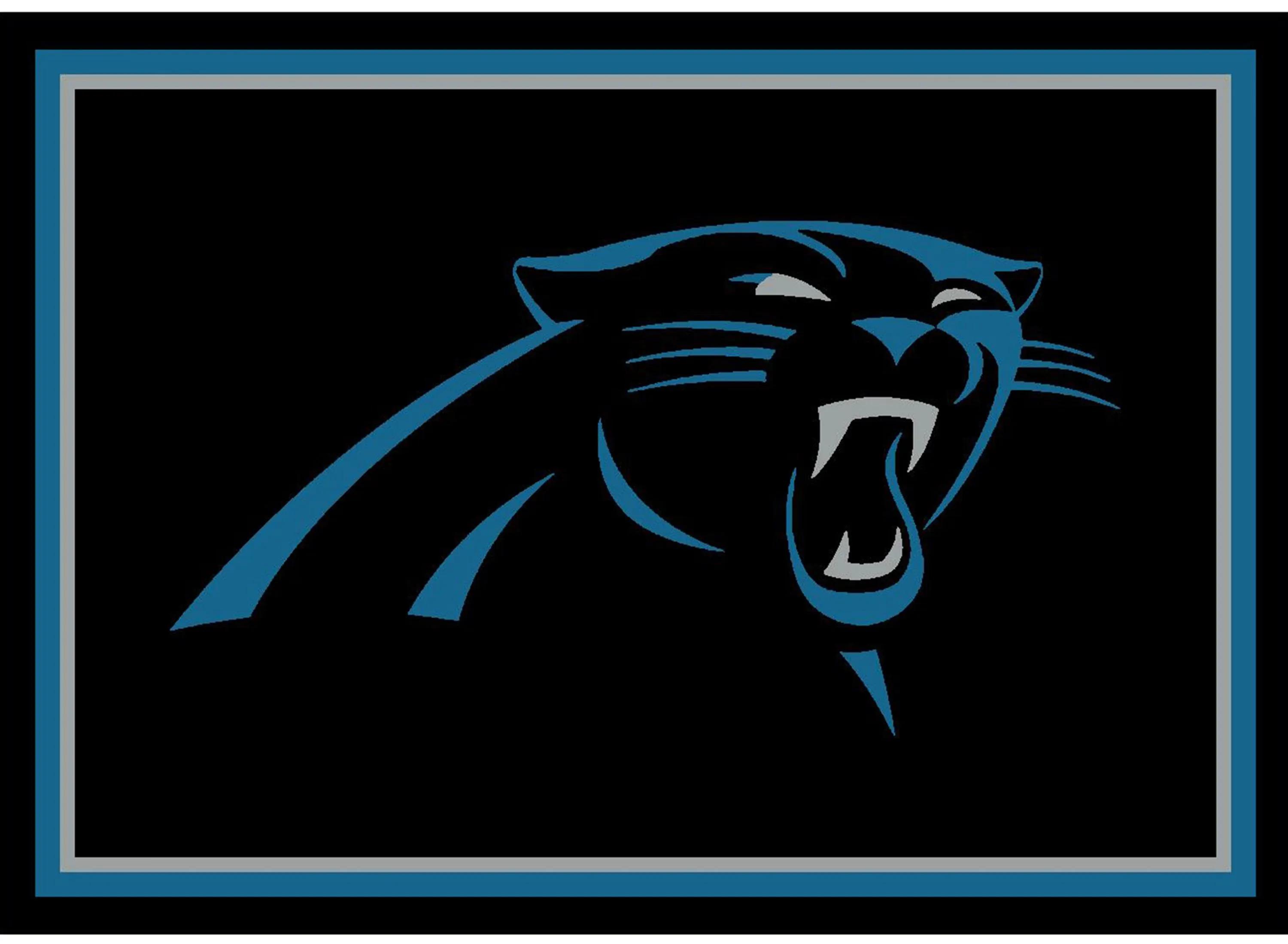 Carolina Panthers Imperial 3'10'' x 5'4'' Spirit Rug