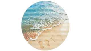 Barbados Footprints Indoor/Outdoor Area Rug