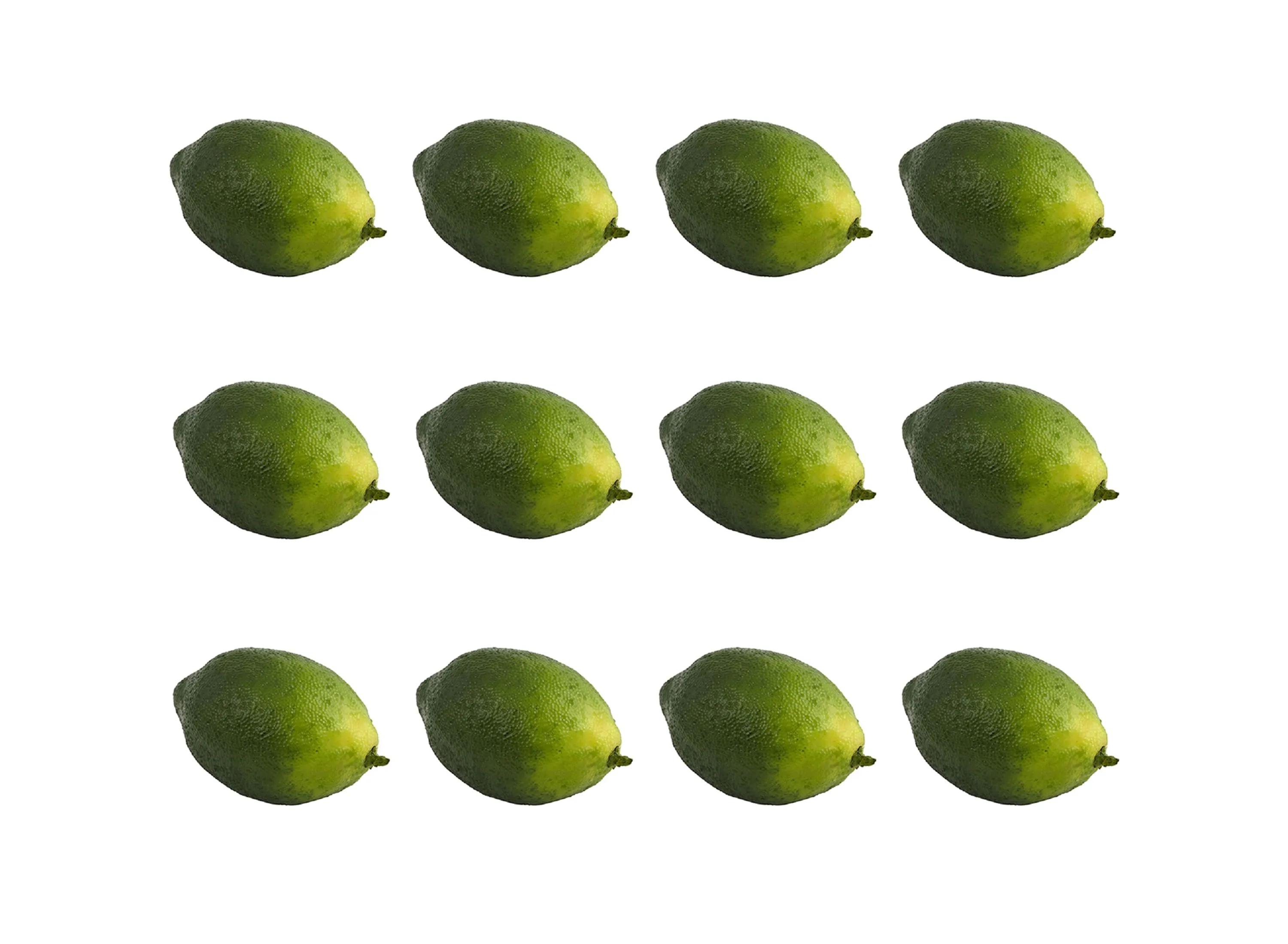 Faux Limes (Set of 12)