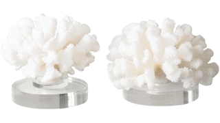 Hard Coral Sculptures: Set of 2