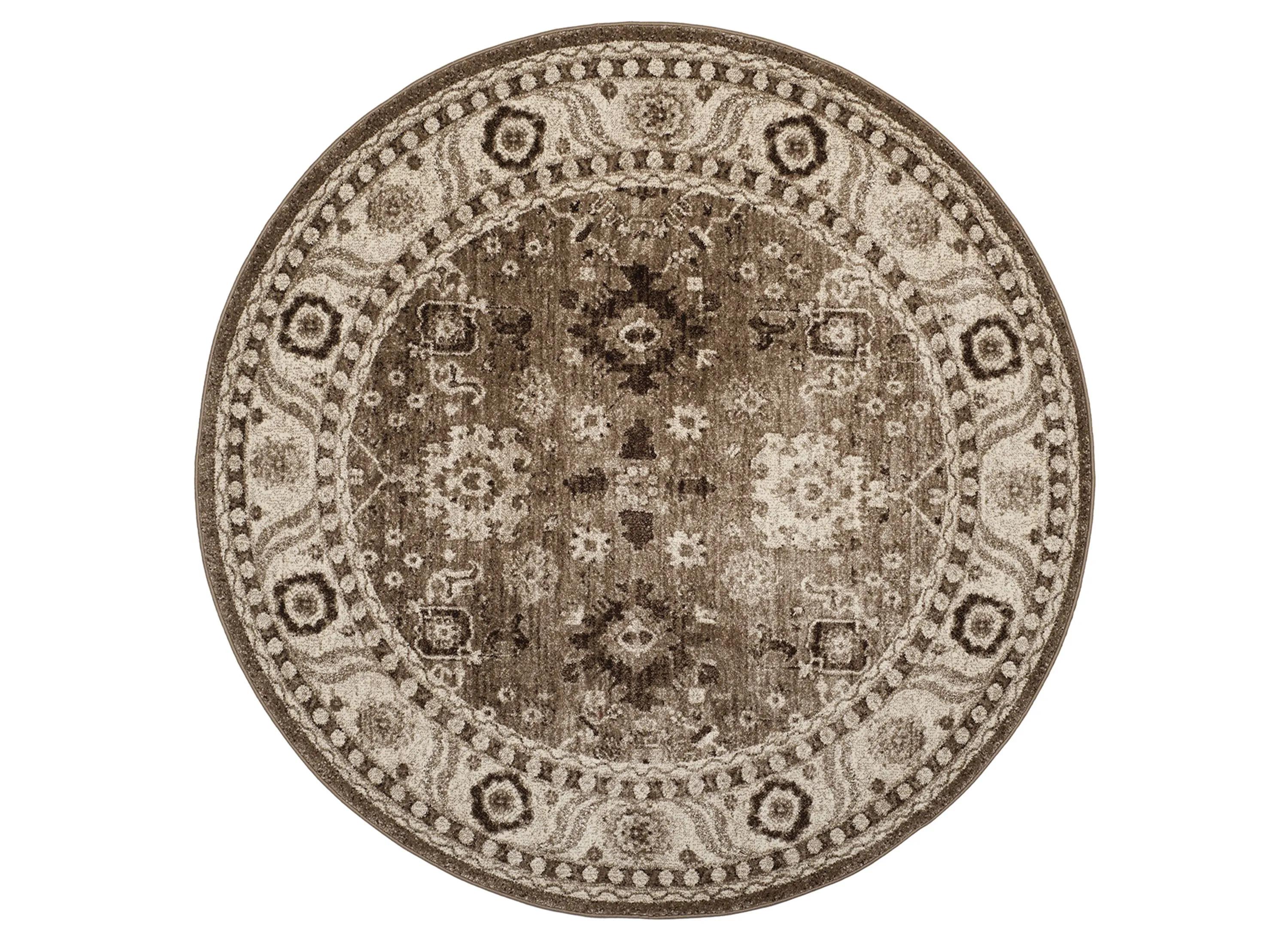 Avicenna Area Rug
