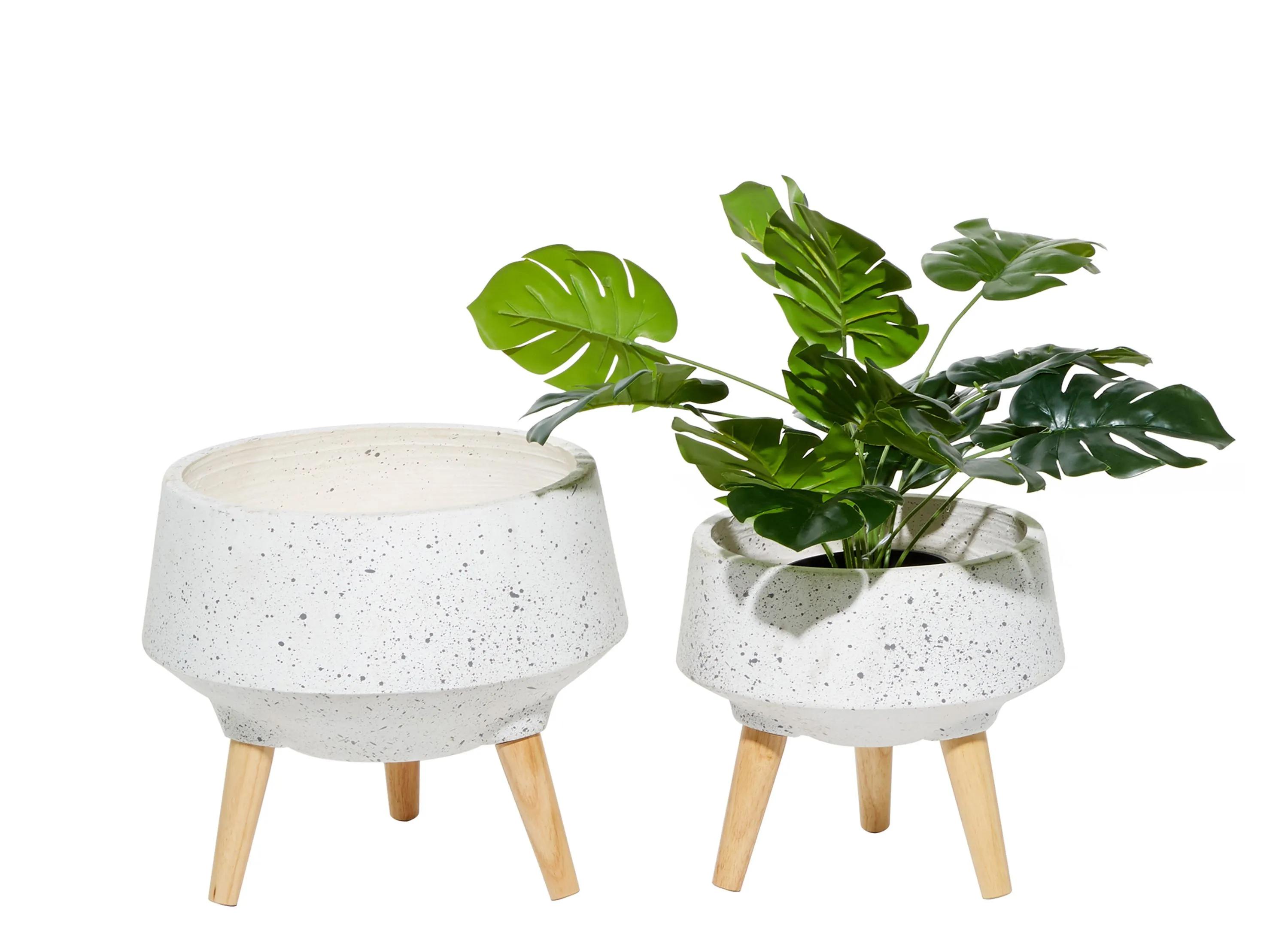 Ivy Collection Conductor Planter Set of 2