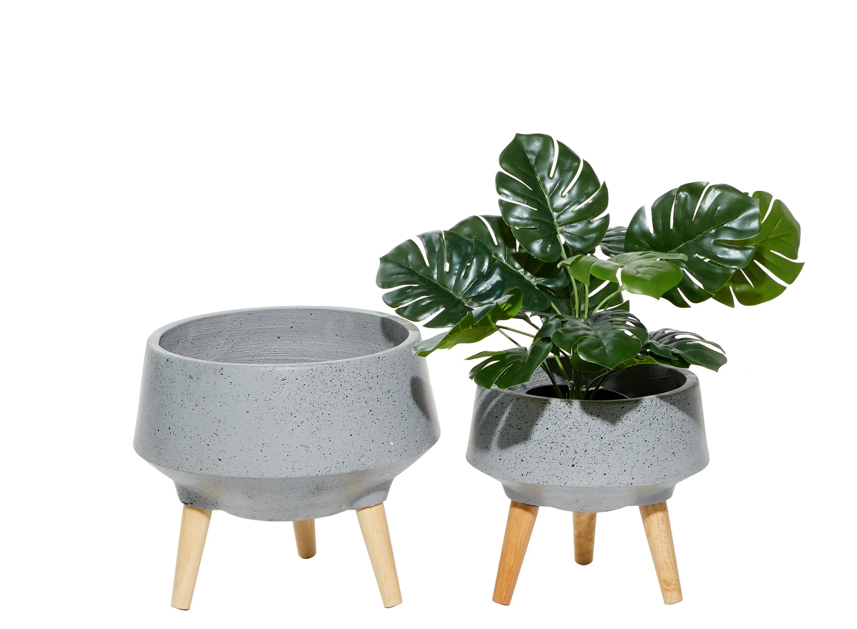 Ivy Collection Conductor Planter Set of 2