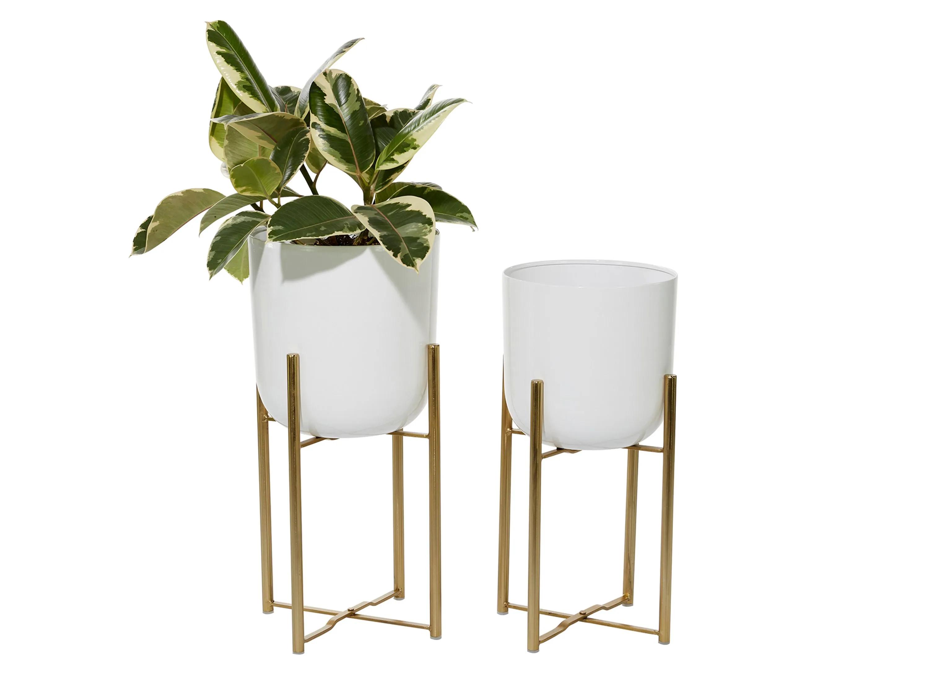 CosmoLiving Woadkyn Planter Set of 2
