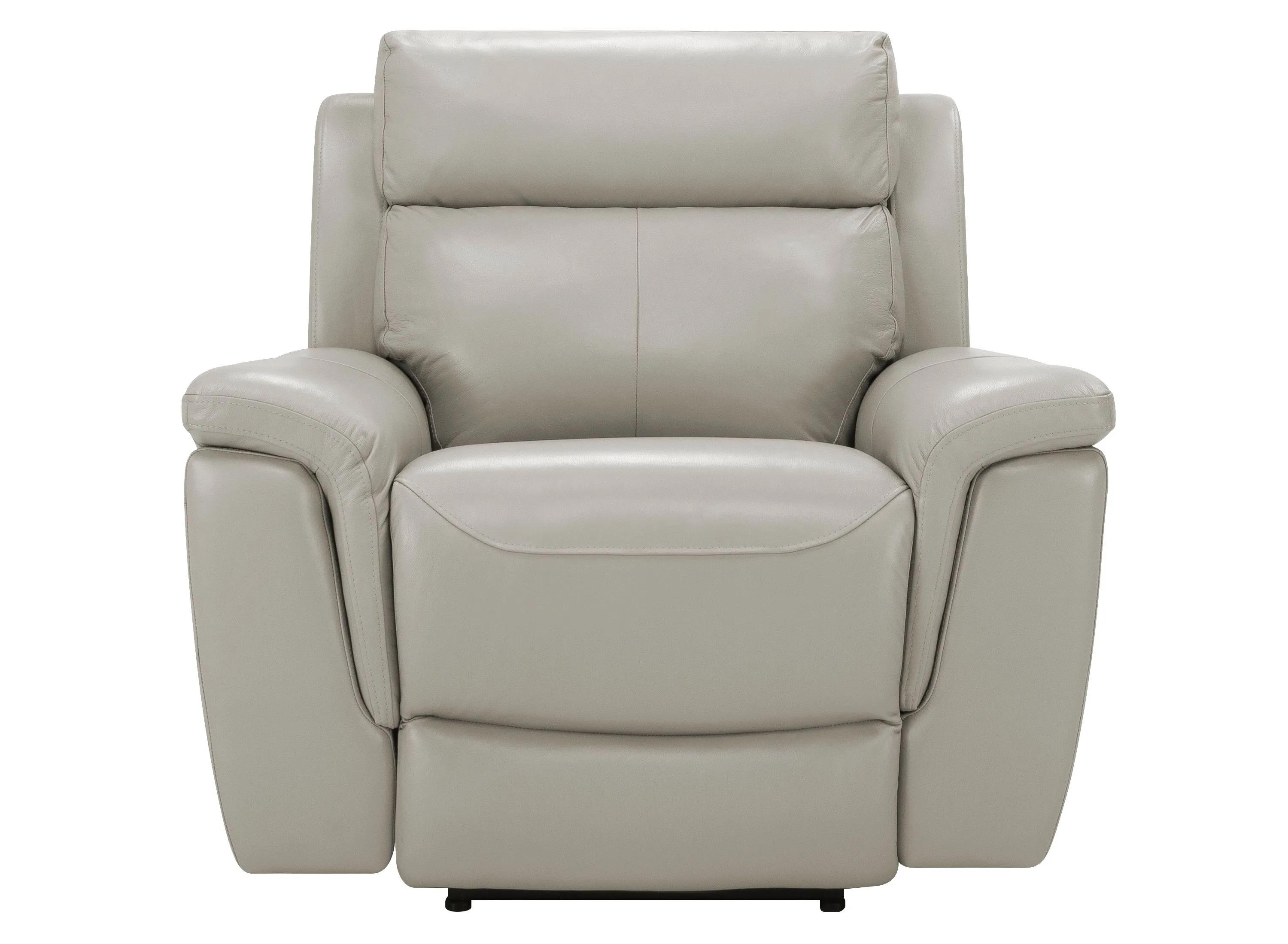Dryden Leather Power Recliner w/ Power Headrest