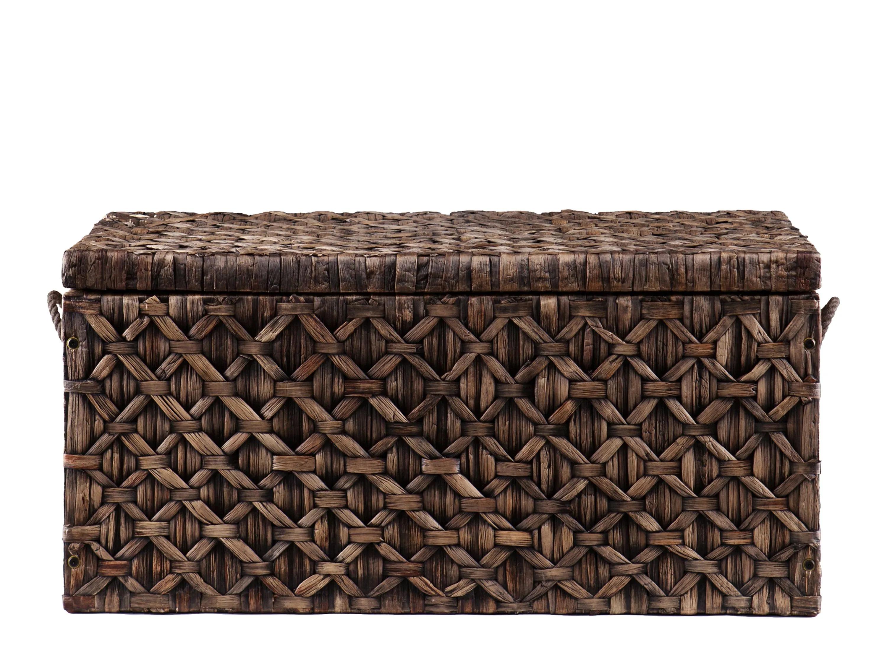 Darley Water Hyacinth Storage Trunk