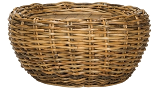 Allester Coffee Table