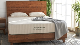 Avocado Eco Organic Mattress Standard Firm