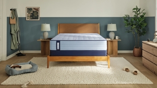 Sealy Posturepedic Rosemill Firm Mattress