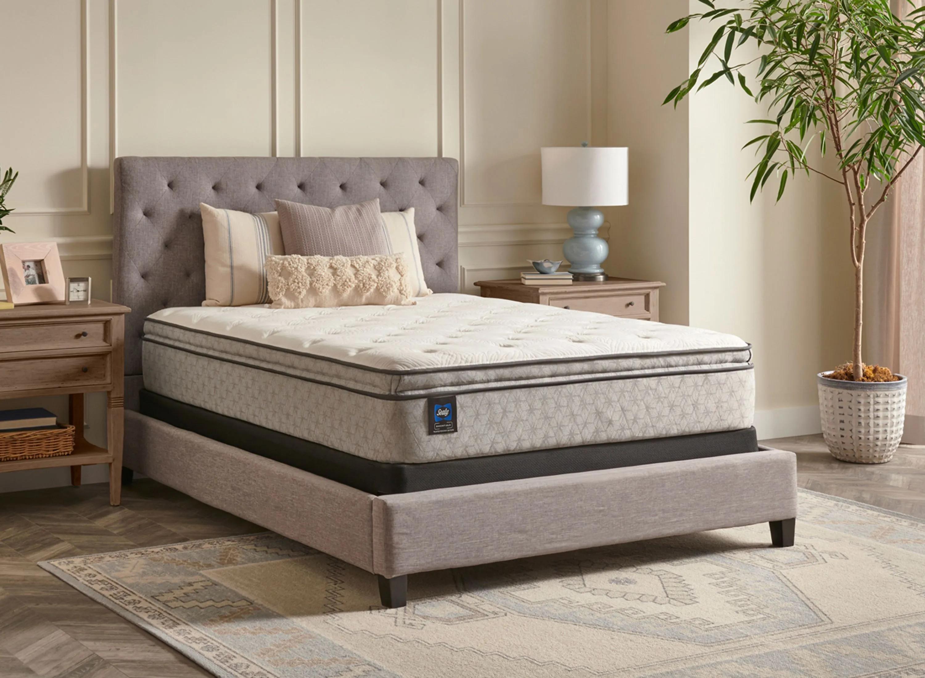 Sealy Essentials Bristol Harbor Plush Mattress