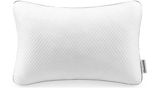 Beautyrest Absolute Relaxation Pillow