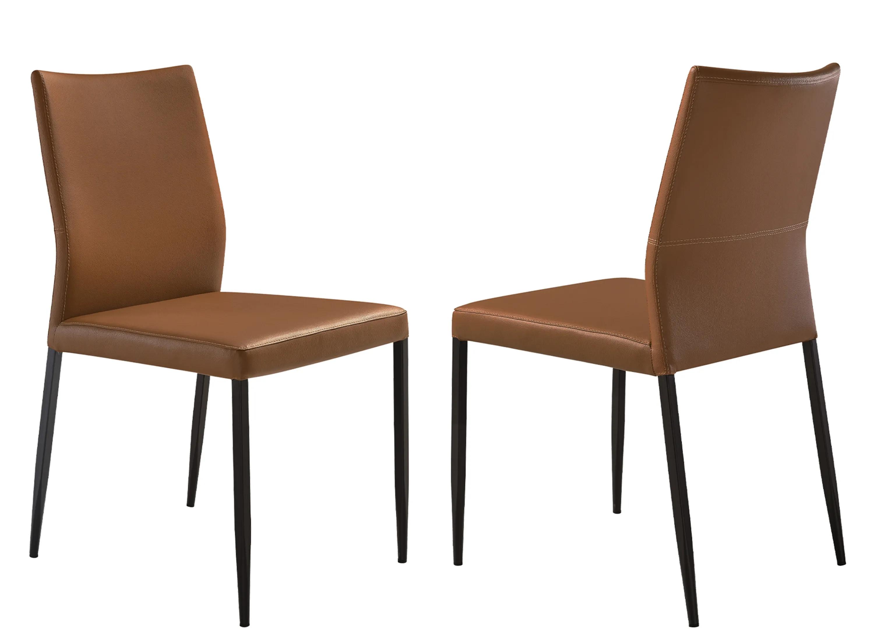 Kash Dining Chair - Set of 2
