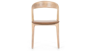 Allston Dining Chair (Set of 2)