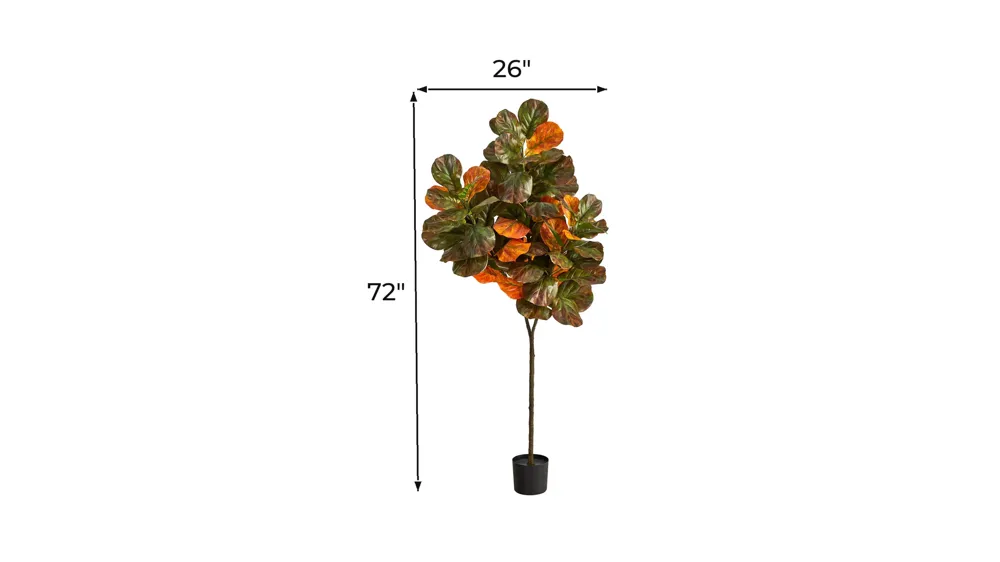 Fall foliage 6ft Fiddle Leaf Tree Dimensions