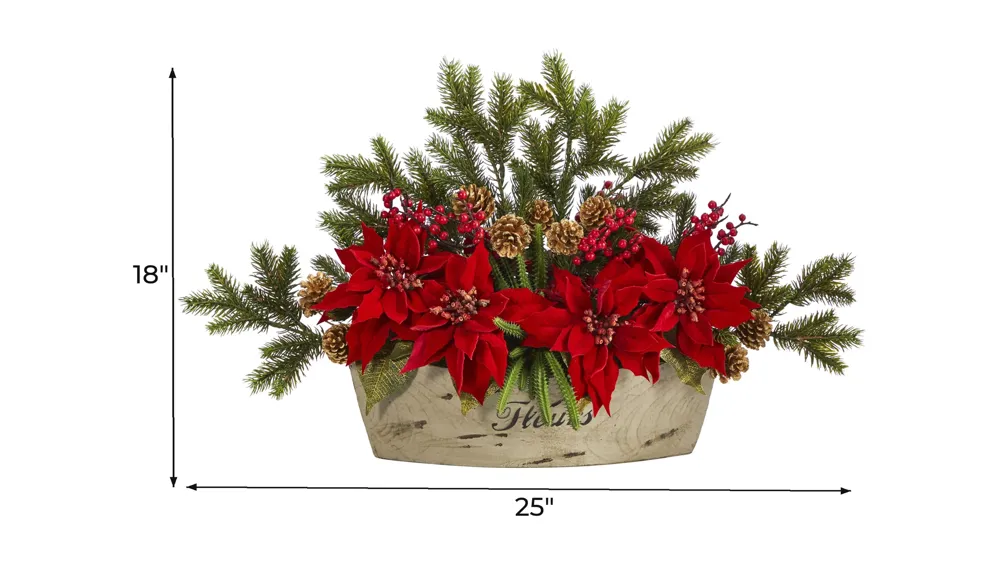 25in. Poinsettia, Succulent and Pine Arrangement Dimensions