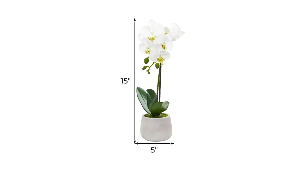 Phalaenopsis Orchid Artificial Arrangement (Set of 2) Dimensions