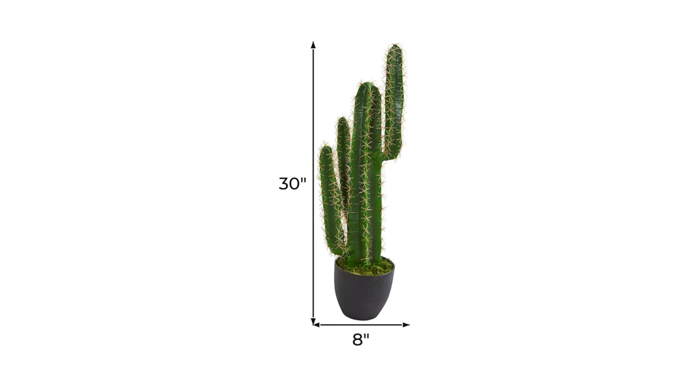 2.5ft. Cactus Artificial Plant Dimensions