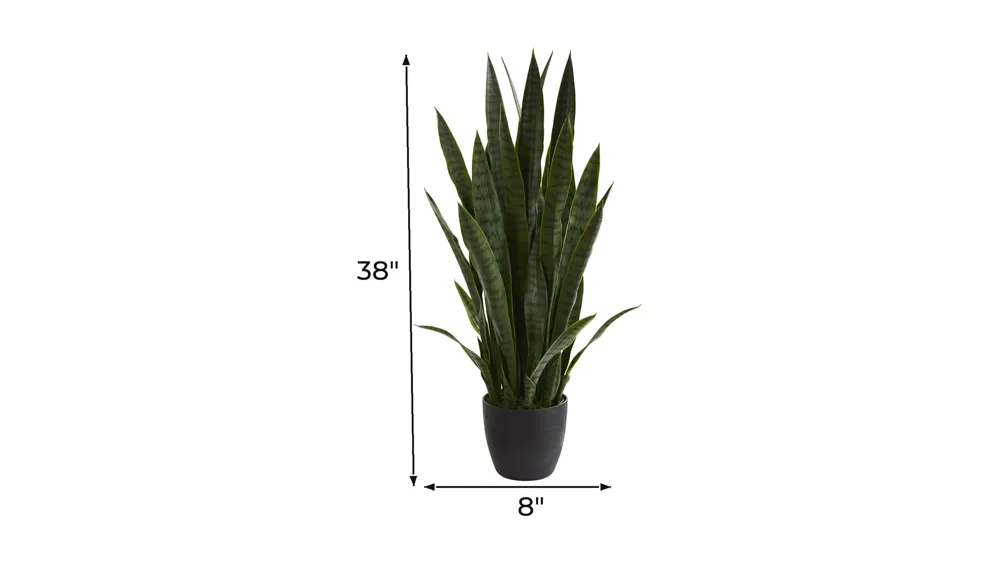 Sansevieria Artificial Plant Dimensions