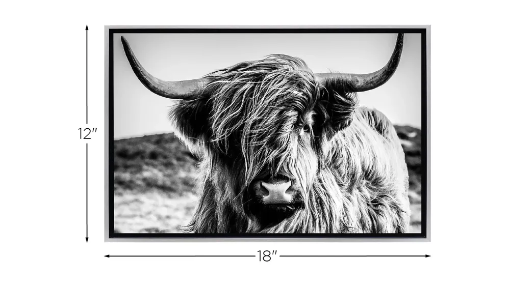 Stratton Black and White Highland Cow Canvas Wall Art Dimensions