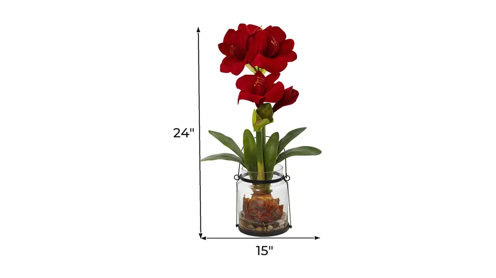 24in. Amaryllis with Vase Dimensions
