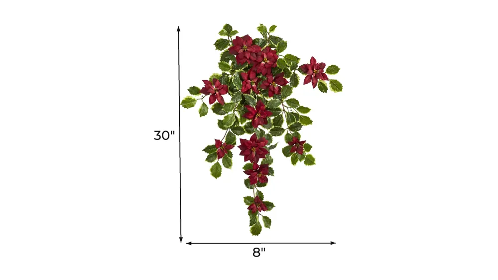 30in. Poinsettia and Variegated Holly Artificial Plant: Set of 2 Dimensions
