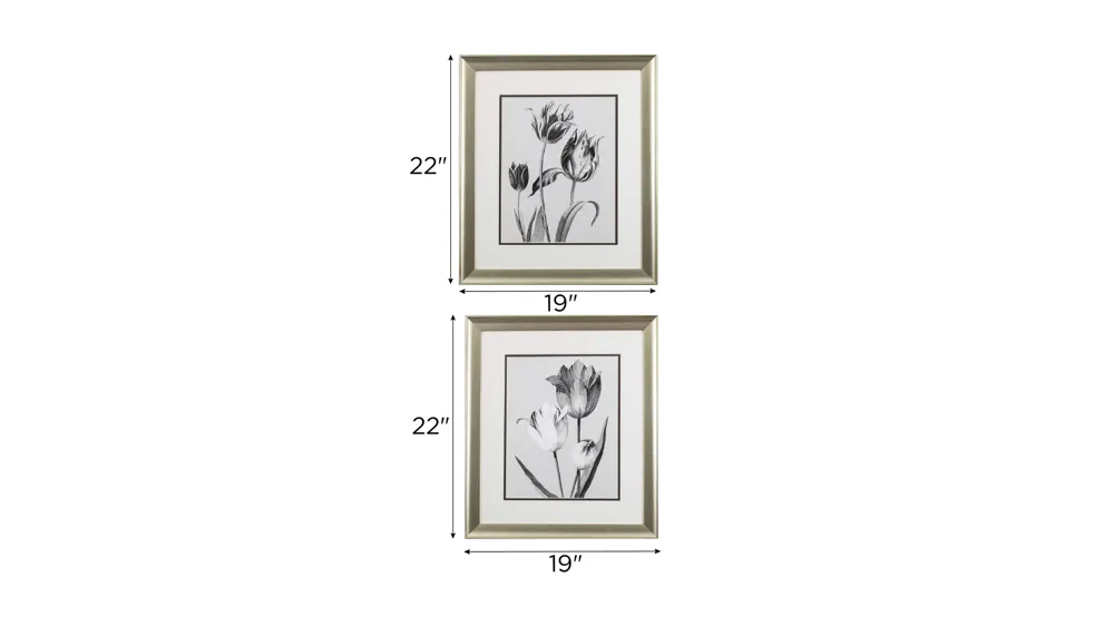 Tulip Service Wall Art Dimensions